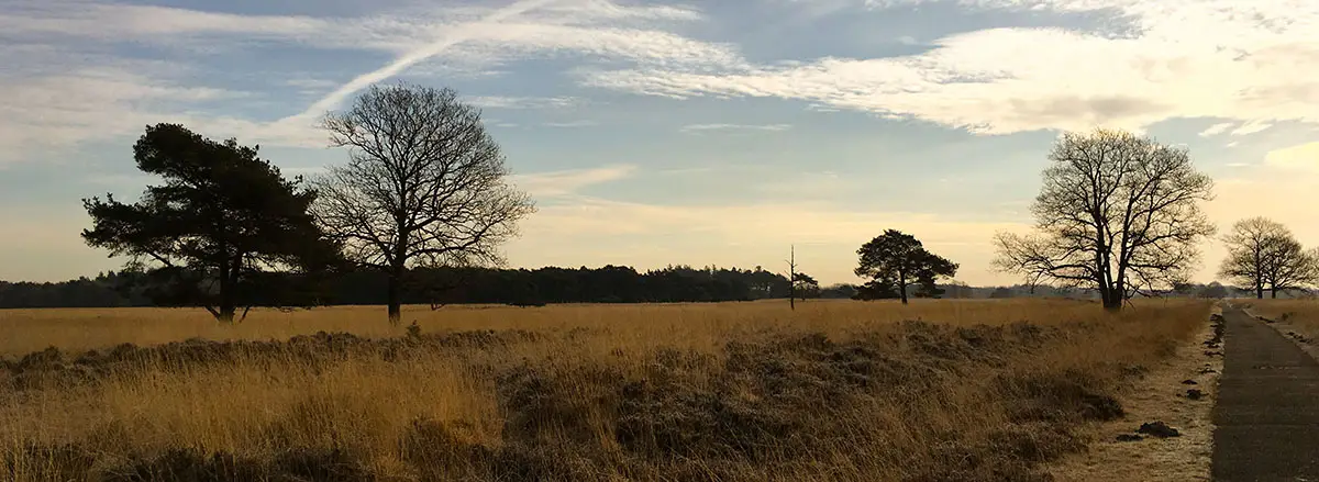 Huurvoorwaarden 1 Huurvoorwaarden Vakantiehuis In Het Bos
