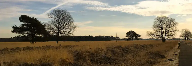 Onondekte Natuurgebieden In Drenthe 2 Onondekte Natuurgebieden Drenthe