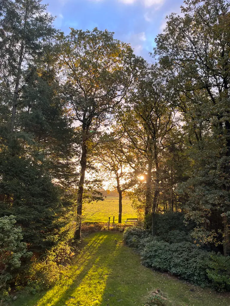 Uitzicht Huis In Bos
