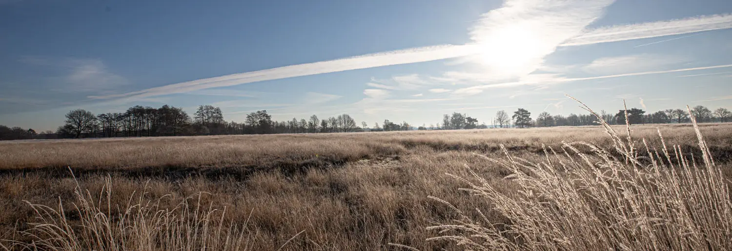 Natuurhuisje Drenthe 6 Natuur Huisje Drenthe
