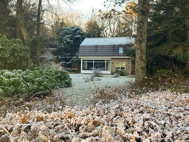 Boshuisje Huren In De Winter