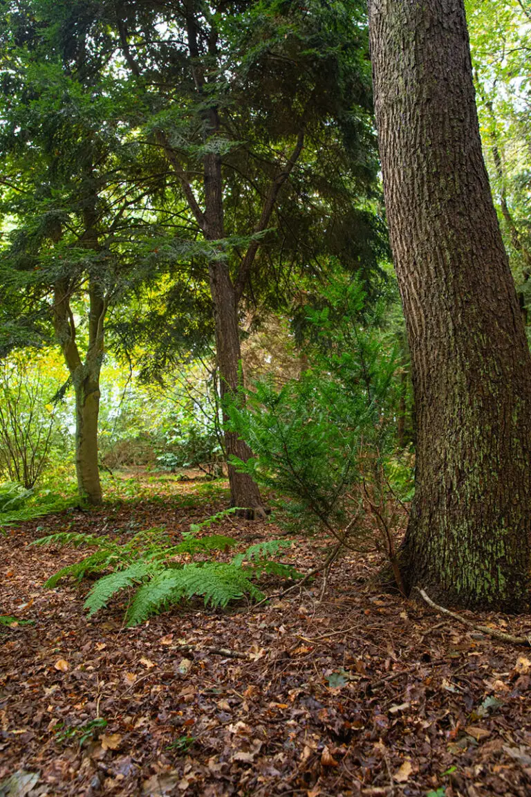Activiteiten Natuurhuisje