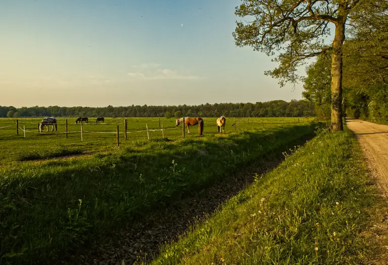 Natuurhuisje Drenthe