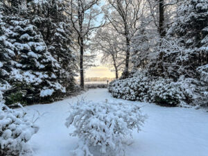 Het Uitzicht Vanaf De Bank Op De Velden, Nadat De Winter Zijn Werk Heeft Gedaan.