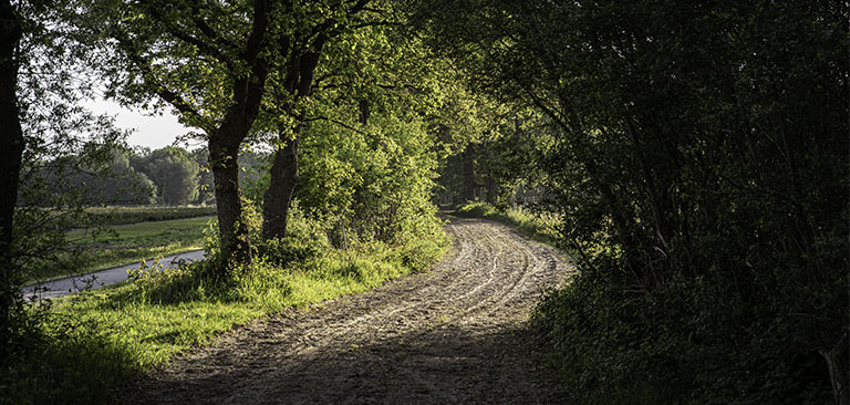 Wandelen In Drenthe Vanuit Een Heerlijk Boshuisje